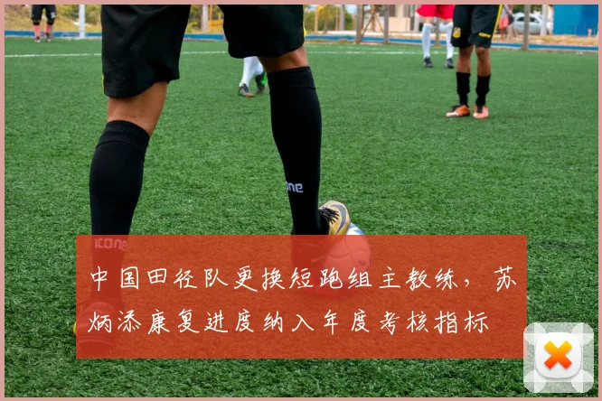 中国田径队更换短跑组主教练,苏炳添康复进度纳入年度考核指标